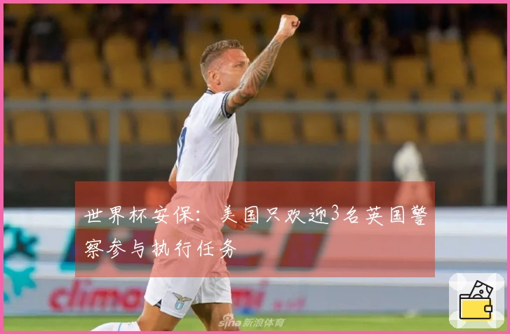 世界杯安保：美国只欢迎3名英国警察参与执行任务